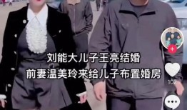 刘能二儿子爆料视频