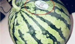 155网红吃瓜,揭秘娱乐圈幕后真相