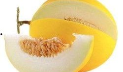 甜瓜概念爆料网站大全最新,概念爆料网站大全独家解读